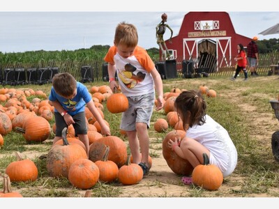 DAYTRIPS: PUMPKINS, MAZES &