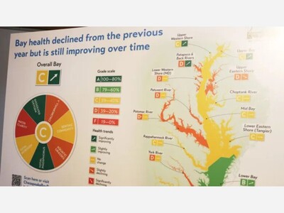 Chesapeake Report Card