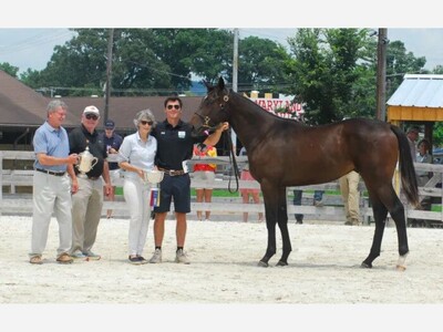 Local Breeders Sweep
