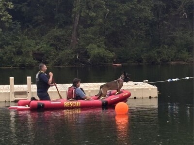 Robot, Sonar, Divers