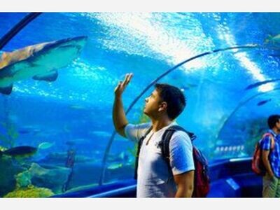 SAVE SOME BUCKS EVERY FRIDAY